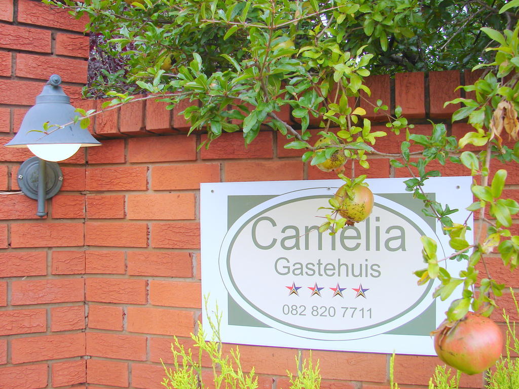 Camelia Guest House Bloemfontein Exterior foto